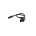 Sonde lambda