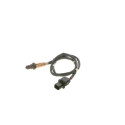 Sonde lambda