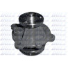 Pompe à eau, refroidissement moteur DOLZ D301