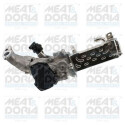 Module-EGR