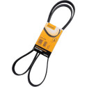 Courroie trapézoïdale ContiTech V-poly 6 PK 1795