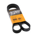 Courroie trapézoïdale ContiTech V-poly 6 PK 1210