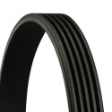 Courroie trapézoïdale à nervures DAYCO 5PK768