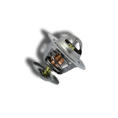Thermostat d'eau CALORSTAT de Vernet TH6047.83J