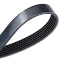 Courroie trapézoïdale à nervures DAYCO 4PK836EE