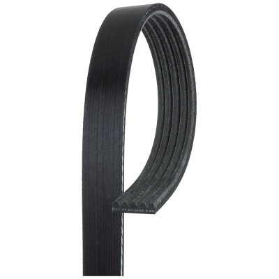 Courroie trapézoïdale poly-V GATES 6PK1580XS