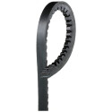 Courroie trapézoïdale GATES AVX10X1625HD