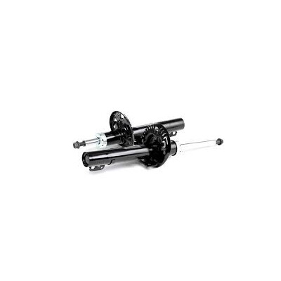 Jeu de (2) amortisseurs TRW JGM306T