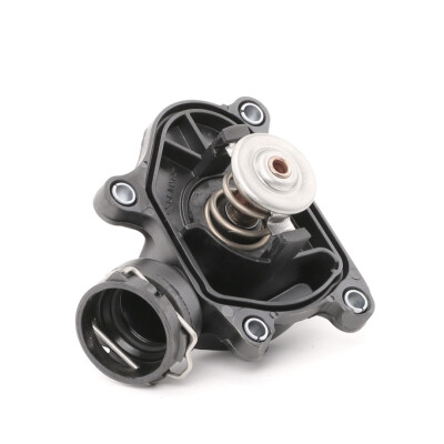 Thermostat d'eau CALORSTAT de Vernet TE6984.97J