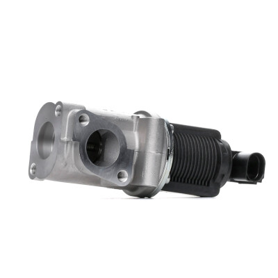 Vanne EGR PIERBURG 7.22946.38.0