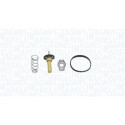 Thermostat, liquide de refroidissement