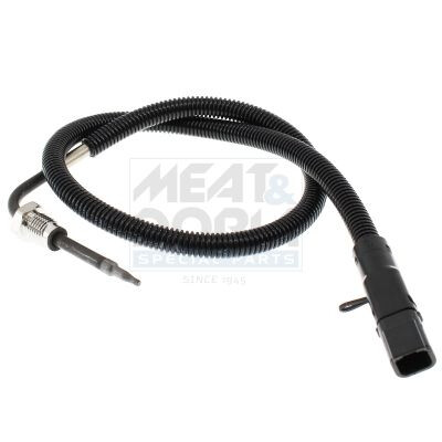 Capteur, température des gaz