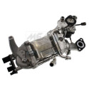 Module-EGR
