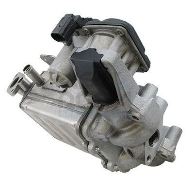 Module-EGR