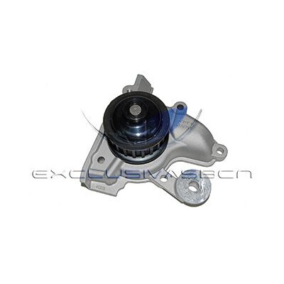 Pompe à eau, refroidissement du moteur