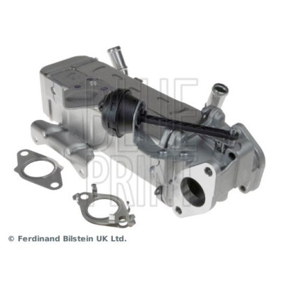 Module-EGR