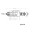 FEBI BILSTEIN 193118 amortisseur