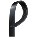 Courroie trapézoïdale à nervures GATES 8PK1305