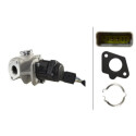 Vanne EGR HELLA 6NU 010 171-651