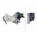 Module-EGR