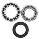 Kit de roulement de roue All Balls 251010