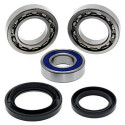 Kit de roulement de roue All Balls 251018