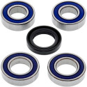 Kit de roulement de roue All Balls 251051