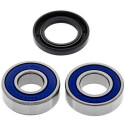Kit de roulement de roue All Balls 251059