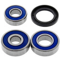 Kit de roulement de roue All Balls 251087
