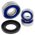 Kit de roulement de roue All Balls 251096