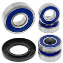 Kit de roulement de roue All Balls 251097