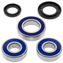 Kit de roulement de roue All Balls 251110