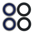 Kit de roulement de roue All Balls 251112