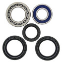 Kit de roulement de roue All Balls 251139