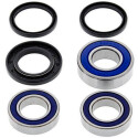 Kit de roulement de roue All Balls 251193