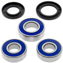 Kit de roulement de roue All Balls 251256