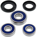 Kit de roulement de roue All Balls 251268