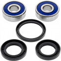 Kit de roulement de roue All Balls 251319