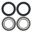 Kit de roulement de roue All Balls 251432