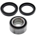 Kit de roulement de roue All Balls 251434