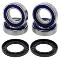 Kit de roulement de roue All Balls 251436