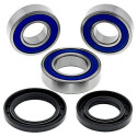 Kit de roulement de roue All Balls 251458