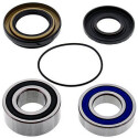 Kit de roulement de roue All Balls 251478