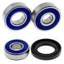 Kit de roulement de roue All Balls 251486