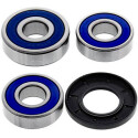 Kit de roulement de roue All Balls 251494