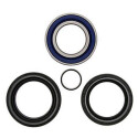 Kit de roulement de roue All Balls 251572