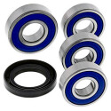 Kit de roulement de roue All Balls 251598