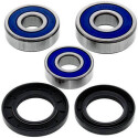 Kit de roulement de roue All Balls 251603