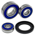 Kit de roulement de roue All Balls 251608