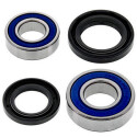 Kit de roulement de roue All Balls 251613